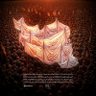 Фото профиля ☫ علی ☫