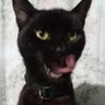 Caos_kun profil fotoğrafı