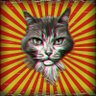 Фото профиля Ho Chat Minh