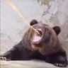 Олег profil fotoğrafı