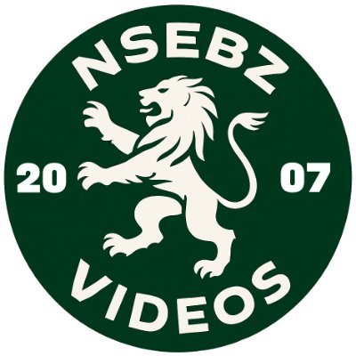 NSEBZvideos's profile picture