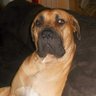 George Thomas's profile picture