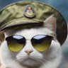 ねこ中尉（⚠︵⚠）一点突破⚡'s profile picture
