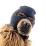 Profilbild von D.O.A