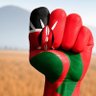 The Duke of Nyakachusetts🇰🇪's profile picture