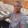 Profilbild von bukenya shafic