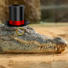 Crocodile Gentleman profil fotoğrafı