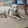 G de gente profil fotoğrafı