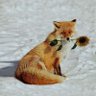 •Gabs• profil fotoğrafı