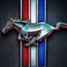 Chuck Dunn's profile picture