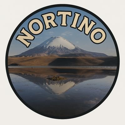 nortino91's profile picture