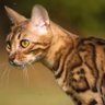 修己以敬 profil fotoğrafı