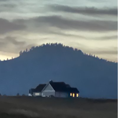 douglaswils's profile picture