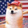 Profilbild von J kiv 🇪🇨🇺🇸