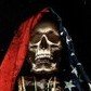 David Webb's profile picture