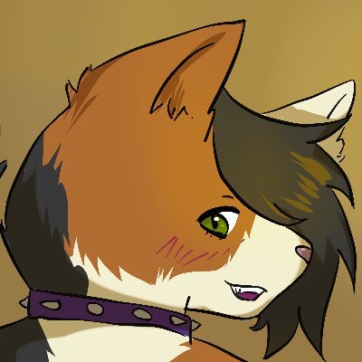 UnknownFinder's profile picture