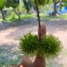 Фото профиля จอมโจรปล้นอะสุจิ