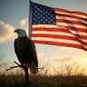 America First Party profil fotoğrafı