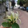 Фото профиля REEM