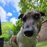 Kevin T profil fotoğrafı