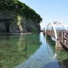 どら 的头像