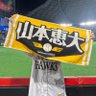sy 的头像