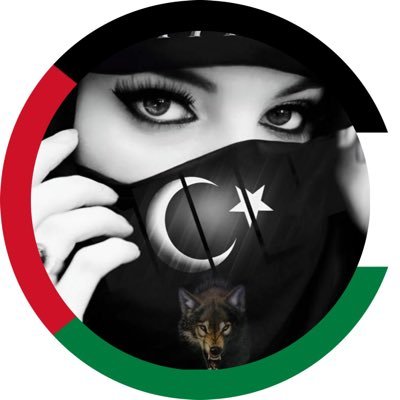 Canan 🇹🇷͜͜͡͡✯🐺's profile picture