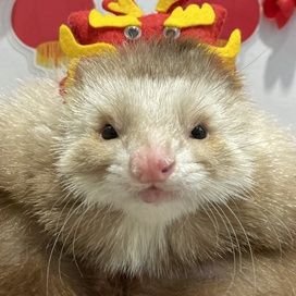 あたん's profile picture