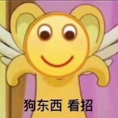 wy8988868231740's profile picture