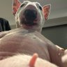 NeonBvtman 的头像