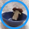 くつろぐしいたけ🩵🍄's profile picture