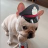 หาวห่าวยอดนักบ็อบ 🚓🚨 的头像