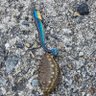 魚釣るぞう profil fotoğrafı