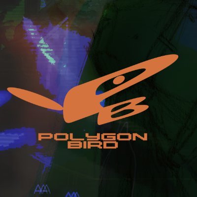 POLYGON BIRD Games's profile picture