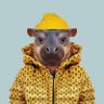 Andri Yans's profile picture