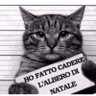 ErminLor profil fotoğrafı
