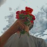 Reza's profile picture