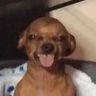 Profilbild von Drew