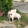 SNY.B profil fotoğrafı