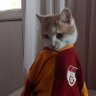 H's profile picture