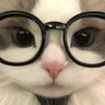 Profilbild von กูจะบ้าาาา 🍒