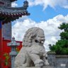 Profilbild von 齐得隆咚呛