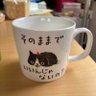 Profilbild von アニさん