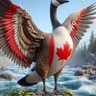 Sharon McMaster's profile picture
