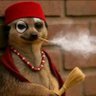 Profilbild von Trevor dโass slapper๐ช๐ค