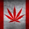 Profilbild von 🇨🇦 Stoneys Hydroponix 🇨🇦