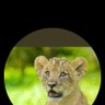 kapchemutta's profile picture