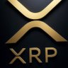 Joey Fat Toes | XRP's profile picture