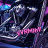 Virginia Voter Roll Maintenance Movement (VVRMM!) 的头像
