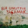 Tuğrul Gürler's profile picture